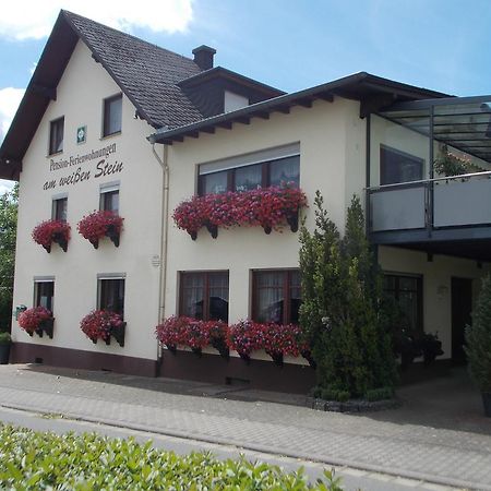 Gaestehaus "Am Weissen Stein" โคเคห์ม ภายนอก รูปภาพ